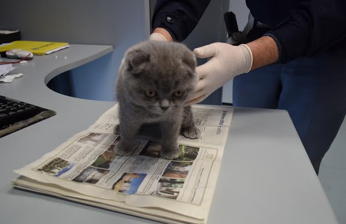 Marilena Ciceri è la nuova Direttrice del Distretto Veterinario di Rho