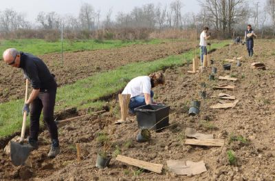 Nuove piante nel parco dei Fontanili grazie al progetto «Il paesaggio del domani»