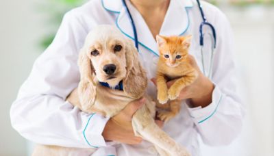 Marilena Ciceri assume la direzione del Distretto Veterinario