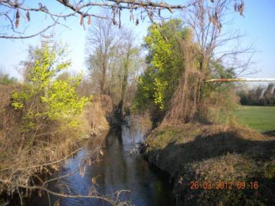 Uomo trovato privo di vita nel parco del PLIS tra via Molino e via Mattei