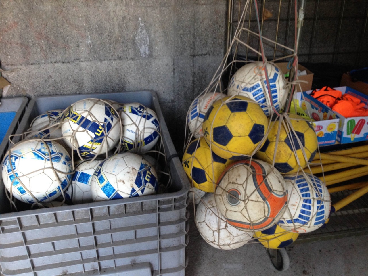 Iniziato il bando per il Bonus Sport 2026/2027